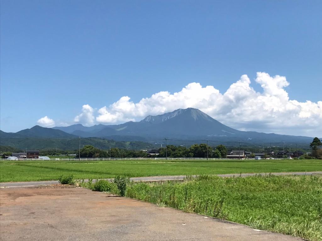 ８月も半月が経ちました