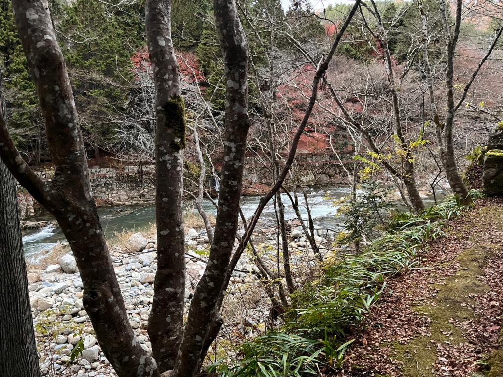 紅葉は返ってこない