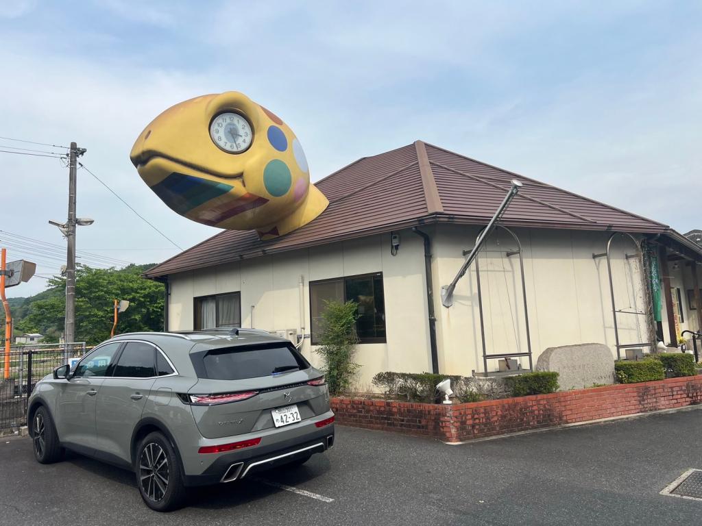 かめのこう