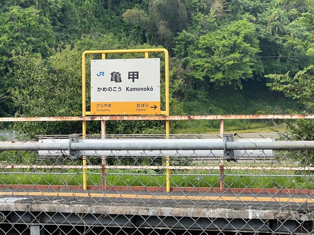かめのこう