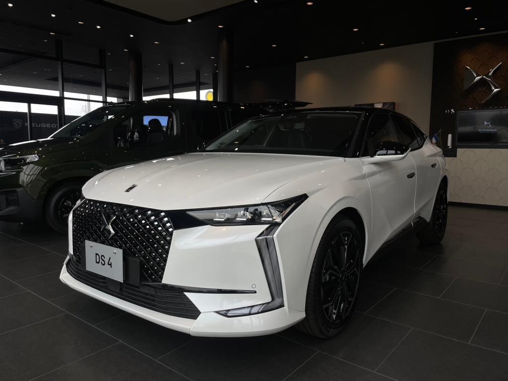 DS CLEAN DIESEL FAIR