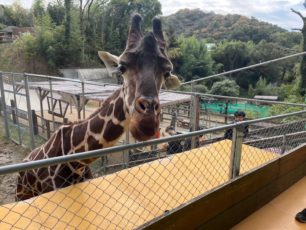 動物園に行ってきました！
