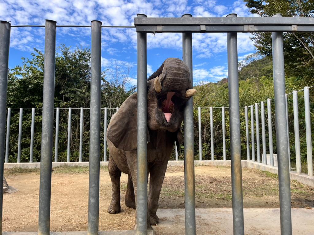 動物園に行ってきました！