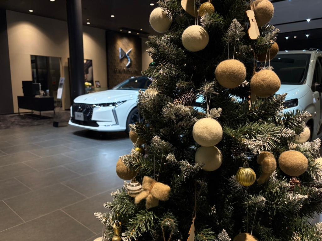 クリスマスツリー出しました🎄✨