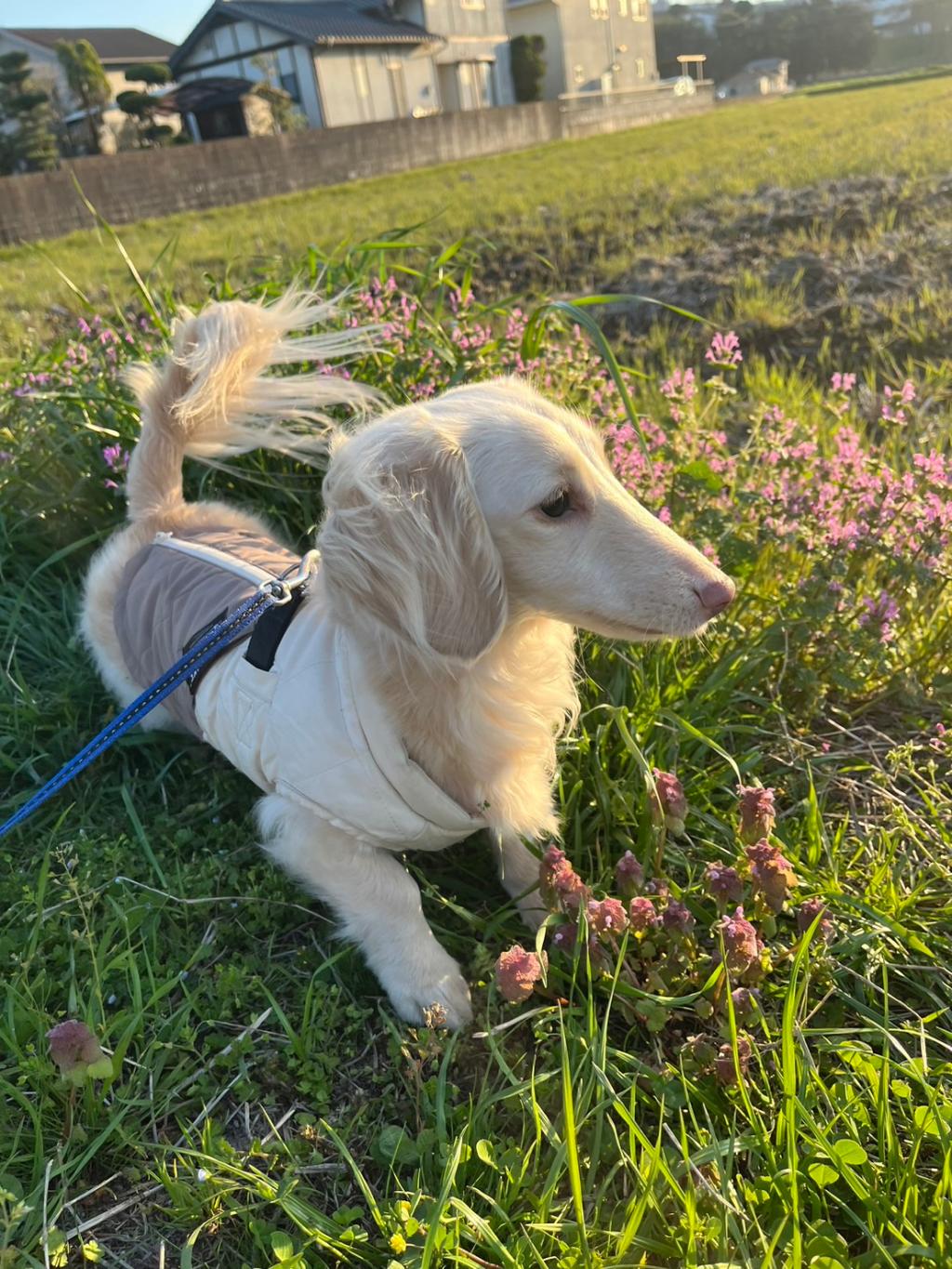 暖かくなってきたこの季節