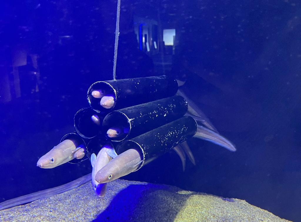 心癒されました