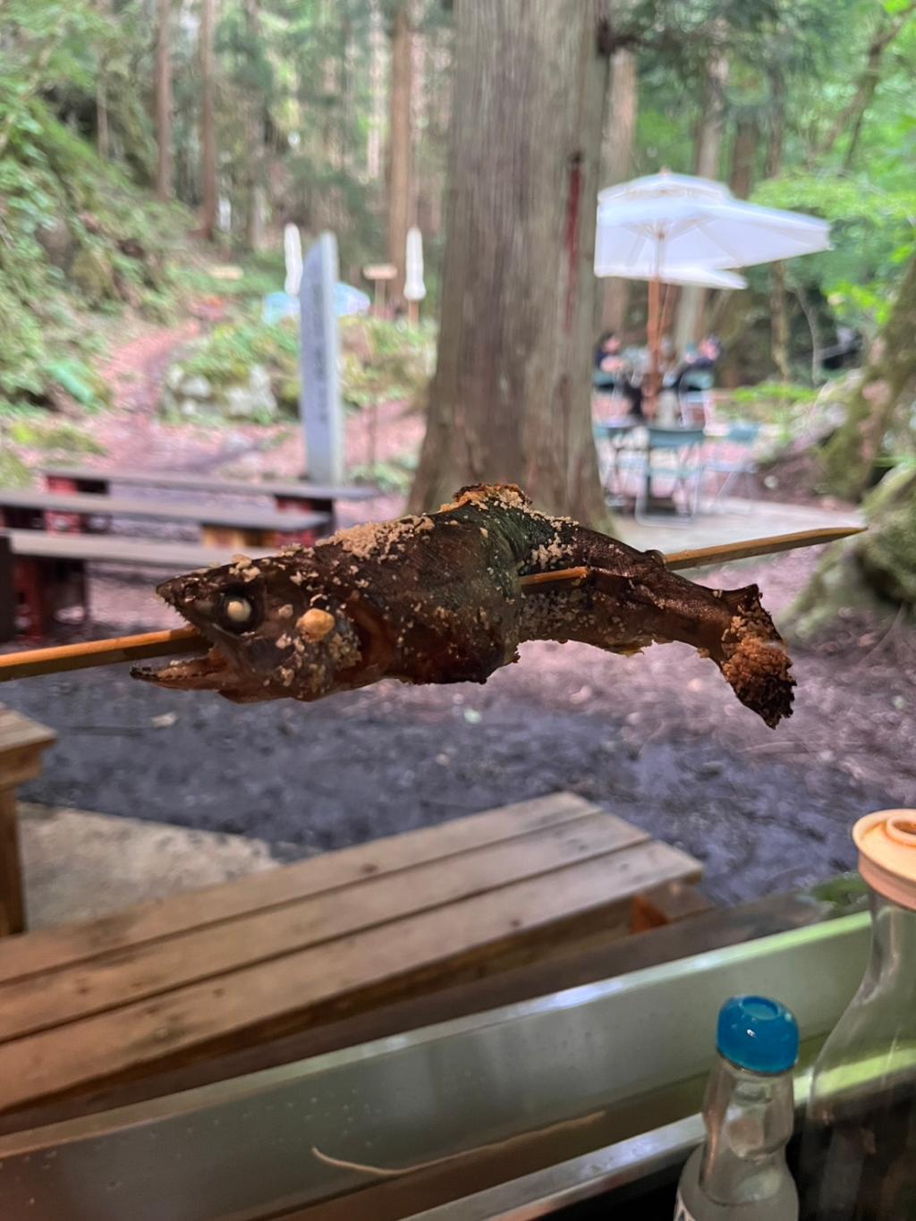 真庭の自然で味わう天魚（あまご）🐟🌿